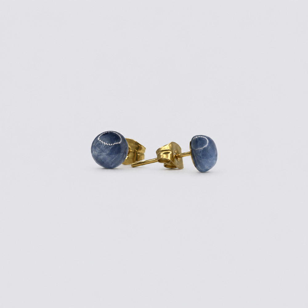 Puce d'Oreille Cyanite - Éris