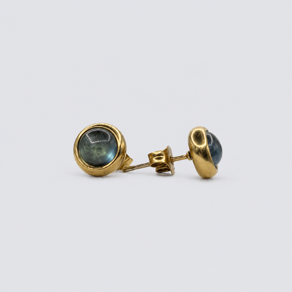 Puce d'Oreille Aigue marine - Éris Bordure dorer