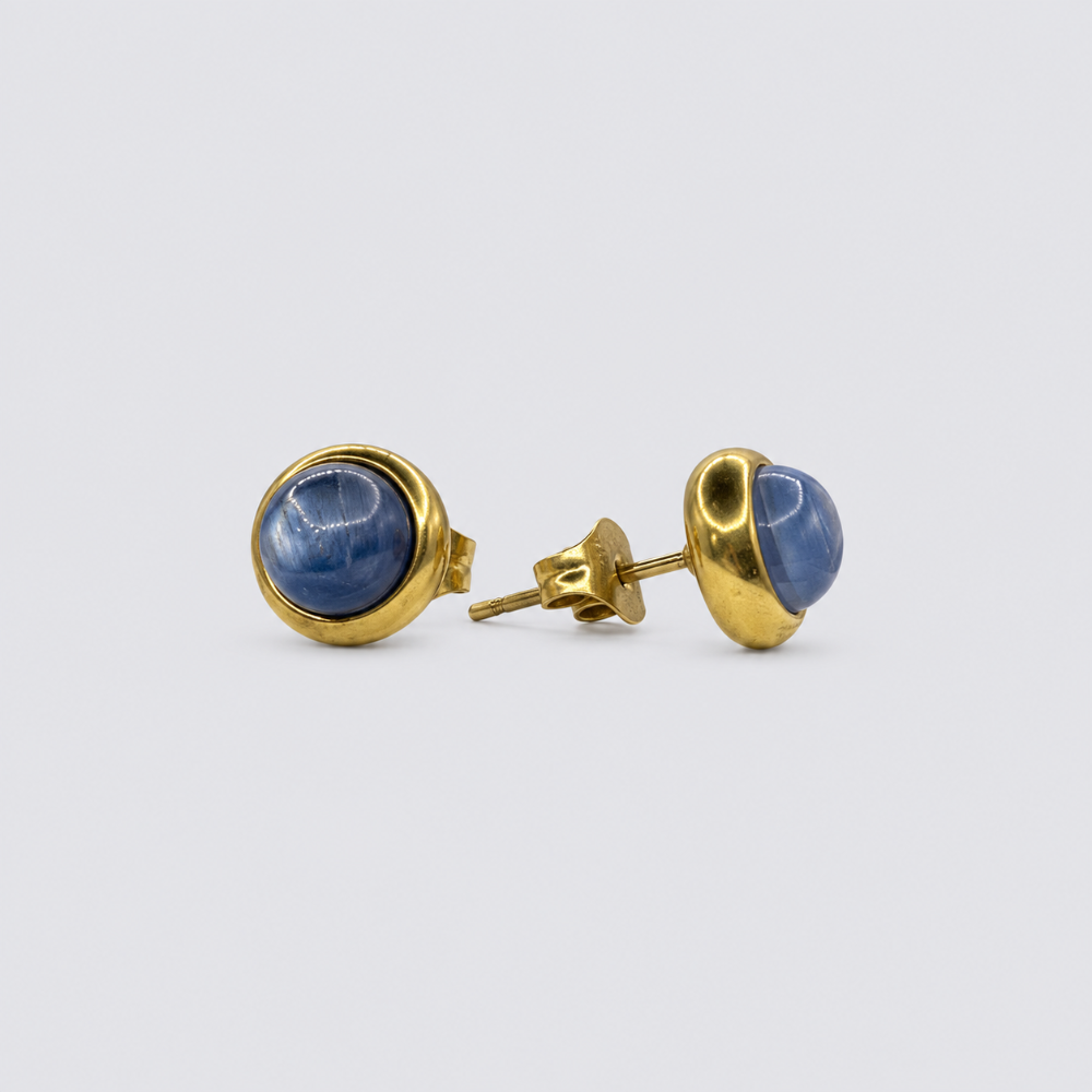 Puce d'Oreille Cyanite - Éris Bordure Dorer